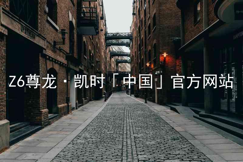 Z6尊龙·凯时「中国」官方网站